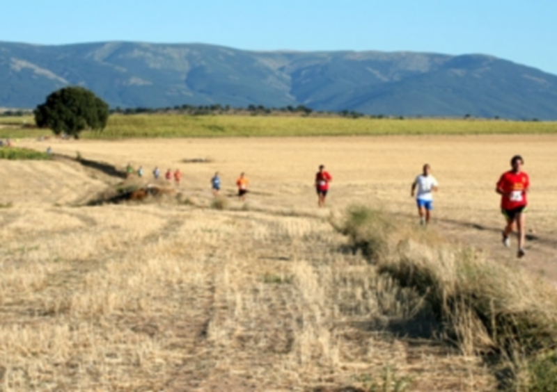 Un momento del recorrido de la prueba del año pasado