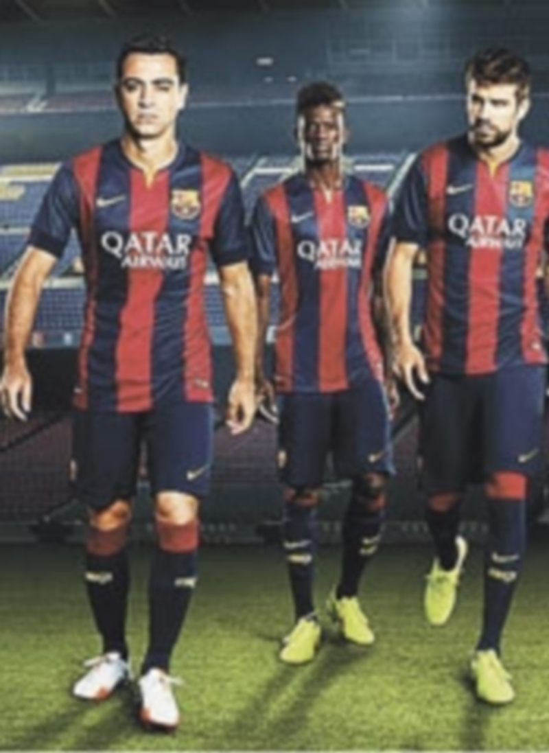 Imagen de la elástica.