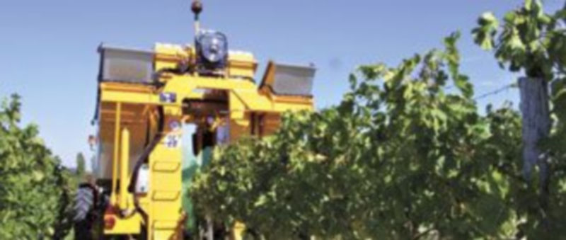 La XVII Demostración Internacional de Mecanización del Cultivo del Viñedo estuvo organizada por el Ministerio de Medio Ambiente y Medio Rural y Marino. / E.A.