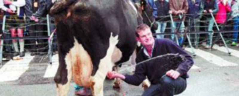 Un grupo de ganaderos