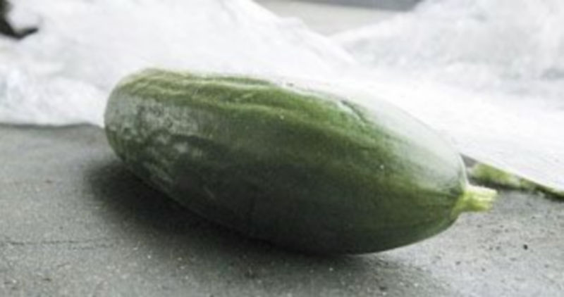 El pepino es el causante de la contaminación por ‘e-coli’ en Alemania.