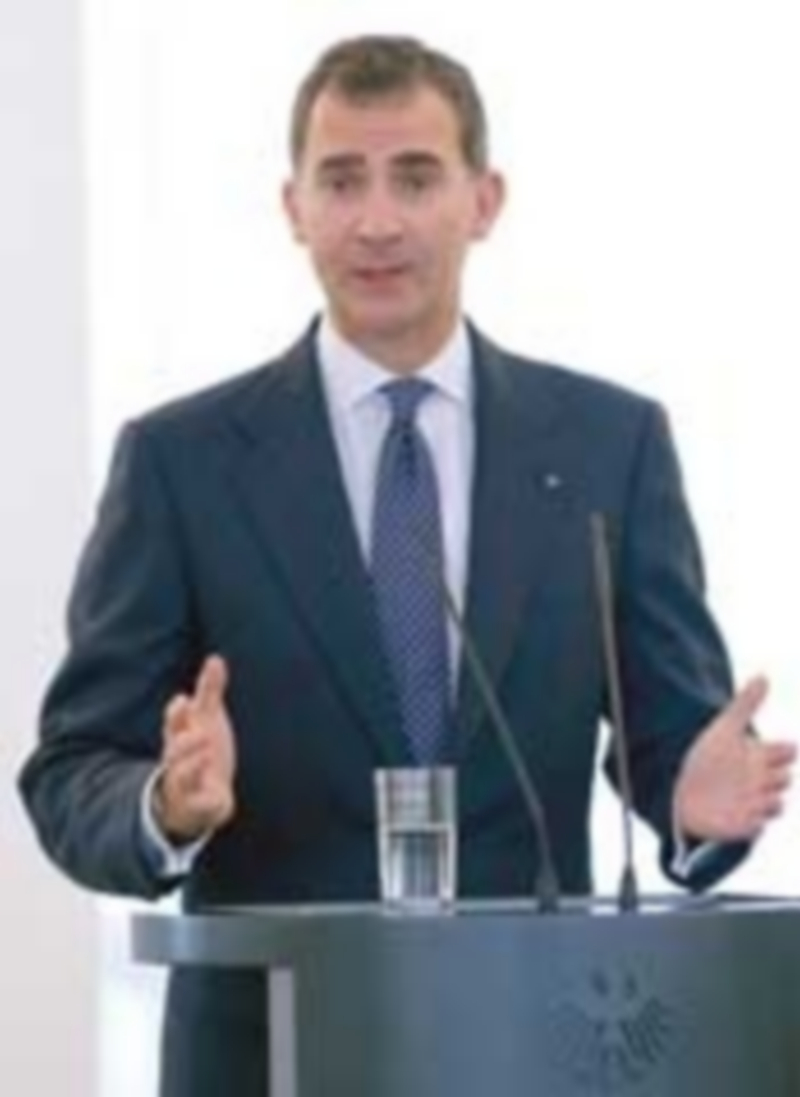 El Rey Felipe VI