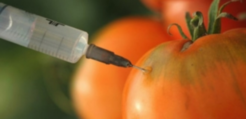 El 70,4 % de los españoles intenta informarse sobre los transgénicos 1 El grupo de edad con mayor conocimiento de los alimentos transgénicos es el comprendido entre los 45 a 54 años. / EFE