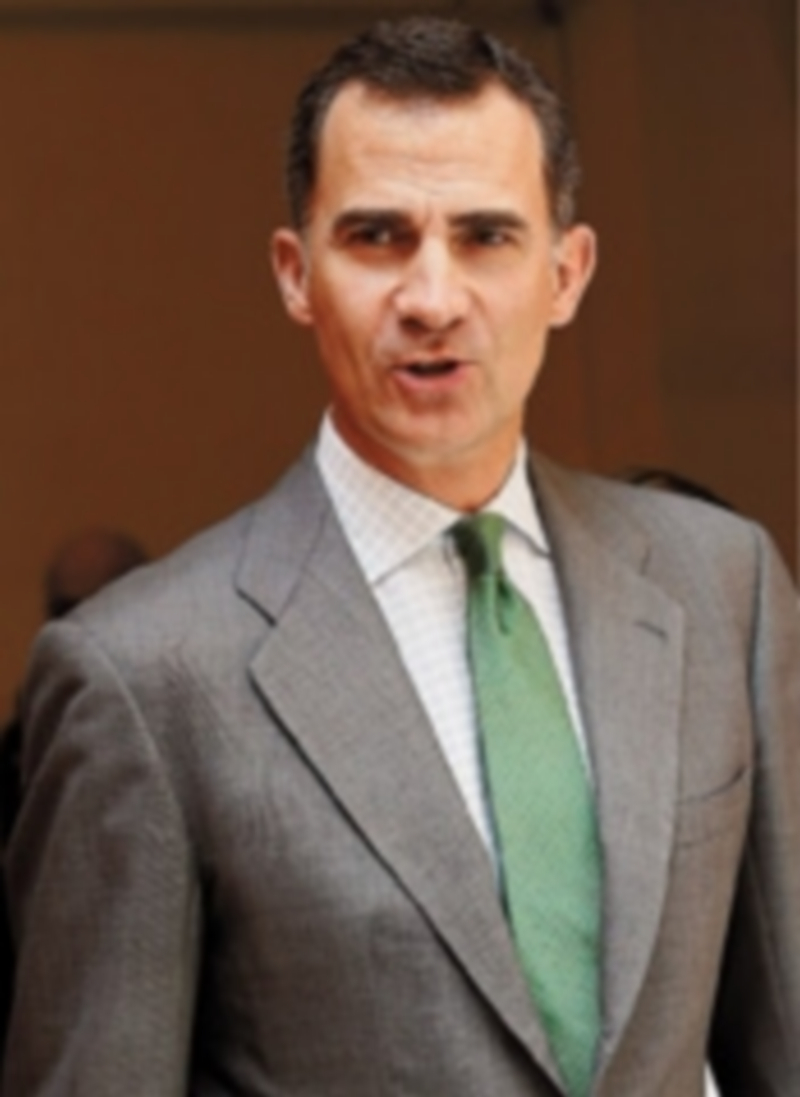 El Príncipe de Asturias se convertirá en Jefe del Estado dentro de unos días. / efe