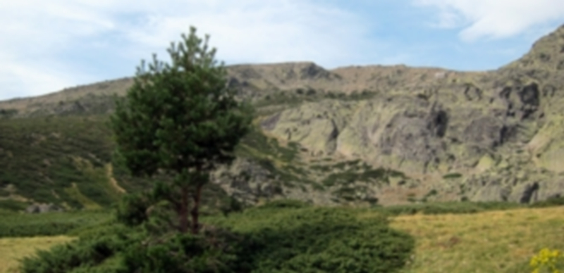Paisaje del Parque Nacional de la Sierra de Guadarrama. / Europa Press
