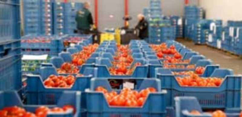 Pilar del Olmo afirma que la aportación del sector exterior a la economía castellanoleonesa “ha sido determinante en los últimos años” para amortiguar la crisis. / Efe