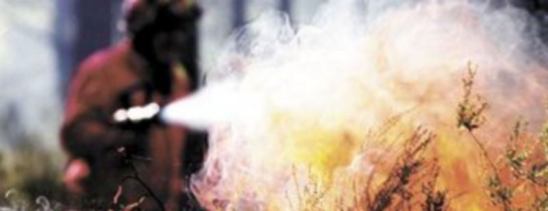 La mano del hombre está ‘limpiando’ la Península de zonas verdes. /Efe