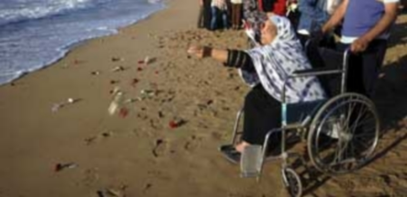 Un grupo de personas lanza flores al mar durante un homenaje a las víctimas del avión de Egyptair. / Efe