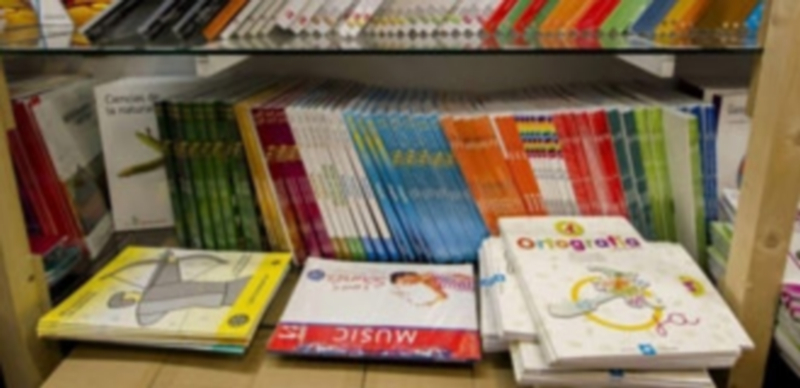 El conjunto de familias que reconoce comprar los libros de texto por internet asegura que dedican un día entero. / EFE