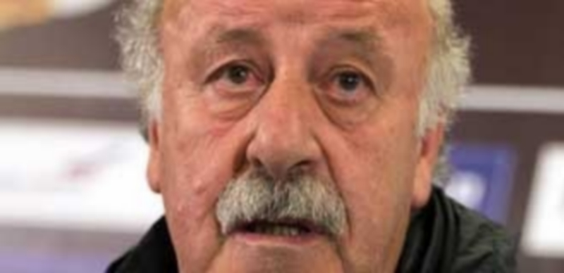 El seleccionador Vicente del Bosque durante la rueda de prensa donde anunció la lista definitiva para la Eurocopa. / EFE