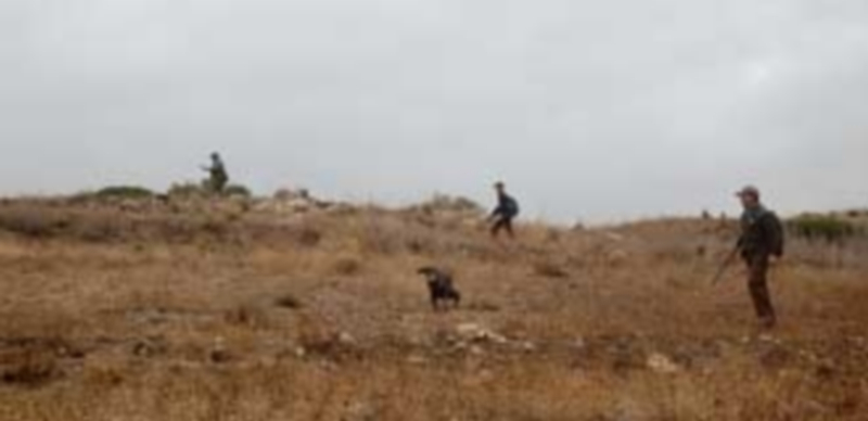 Pese a que se había emitido un informe favorable a prorrogar la licencia de armas de la víctima