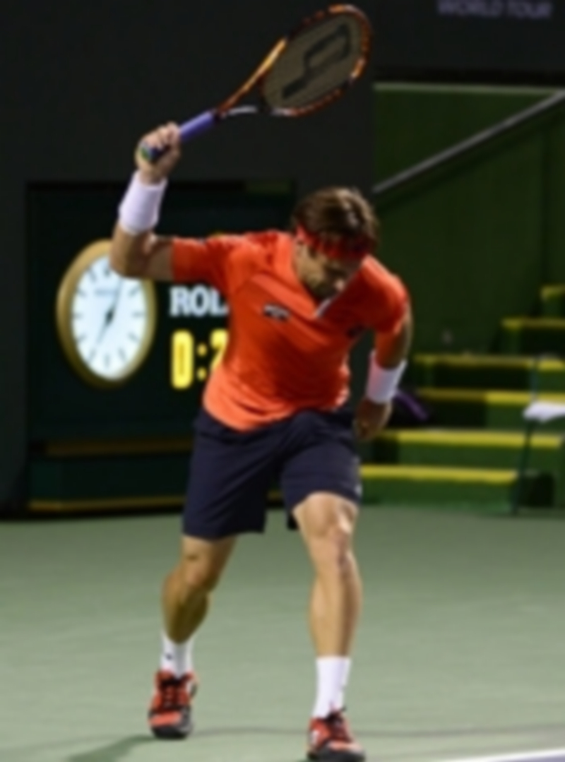 David Ferrer se lamenta durante una acción del partido ante Bernard Tomic. / EFE