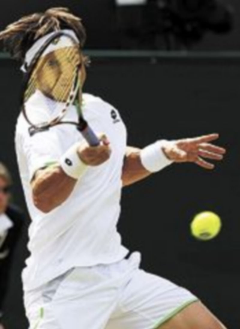 David Ferrer.
