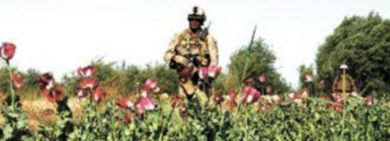 Aunque todavía no es un dato concreto