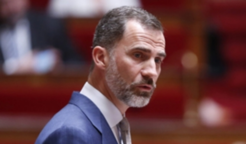 Francia ve en Felipe VI la ‘renovación’ que se esperaba en España 1 El Rey Felipe VI durante su intervención ante la Asamblea Nacional. / Efe