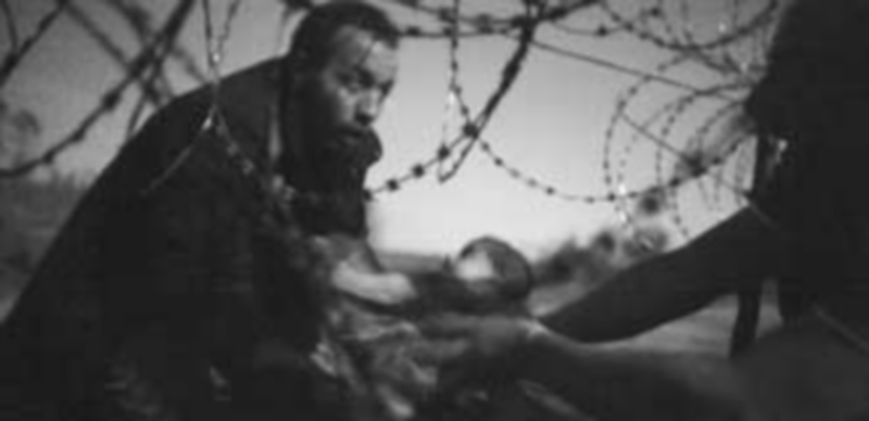 La instantánea del fotógrafo australiano Warren Richardson