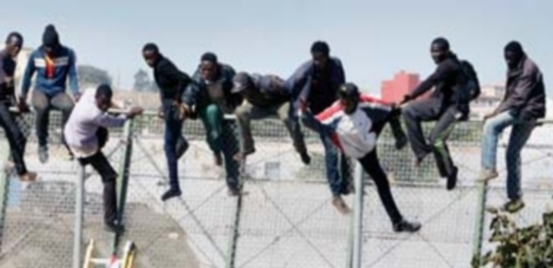Varios inmigrantes encaramados a la valla de Melilla. / EFE