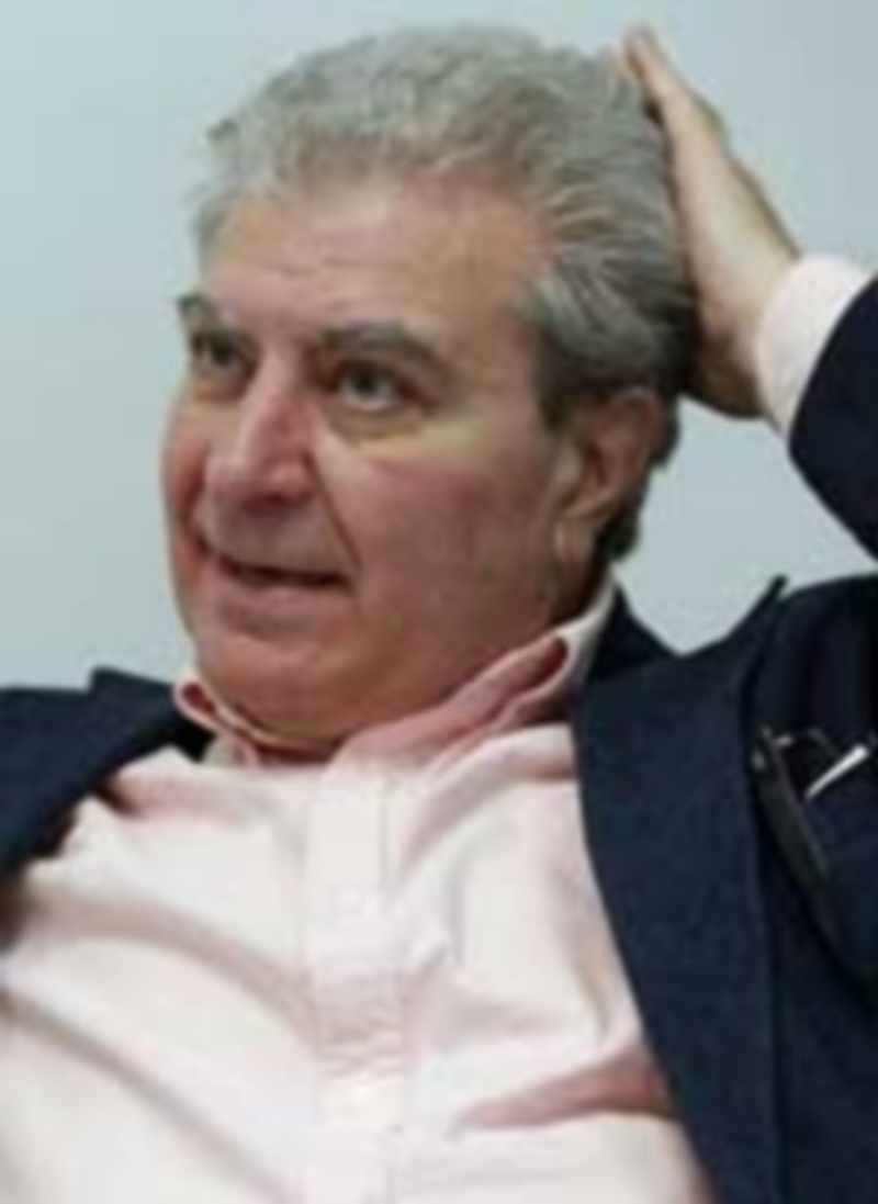 El exministro de Cultura César Antonio Molina. / Efe