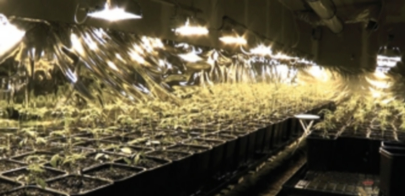 La Guardia Civil intervino a los detenidos 1.500 kilogramos de hachís