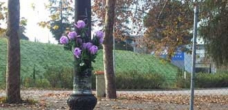 Flores en recuerdo de las víctimas de la tragedia del Madrid Arena. / E.P.