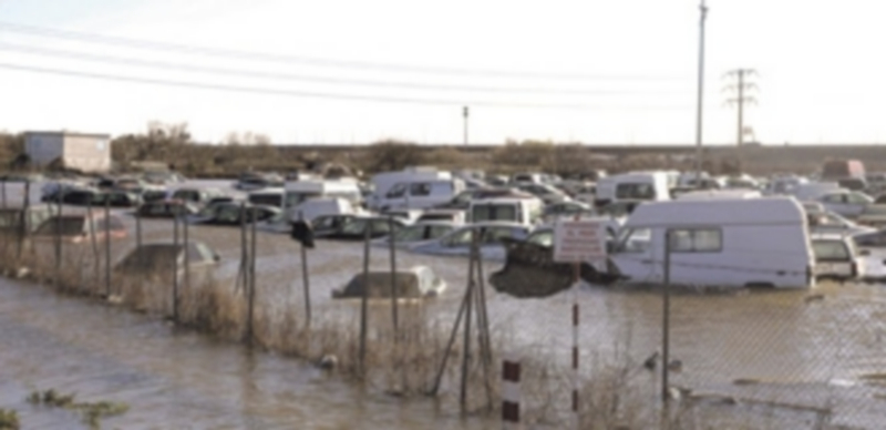 La ministra de Agricultura asegura que las medidas se tomarán “tan pronto como sea posible”