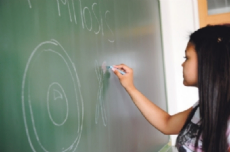 Los réditos laborales del estudio 1 El 27