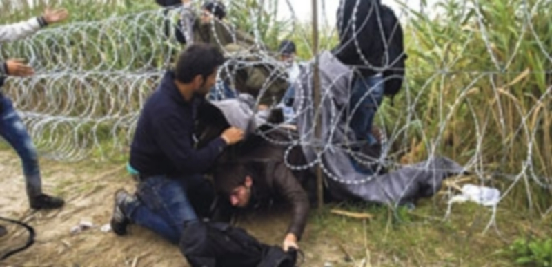 Inmigrantes cruzan la alambrada en la frontera entre Hungría y Serbia cerca de Roszke de camino al norte de Europa. / Efe