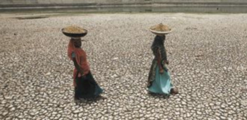 Casi medio millón de personas mueren al año de hambre como consecuencia del agravamiento del clima. / Reuters