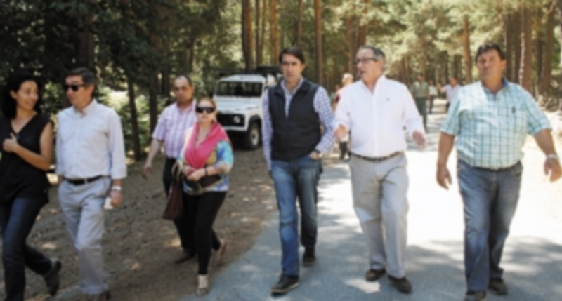 El consejero pasea por una de las pistas forestales del monte de Navafría junto a los responsables de la gestión y los alcaldes de la zona. / El Adelantado