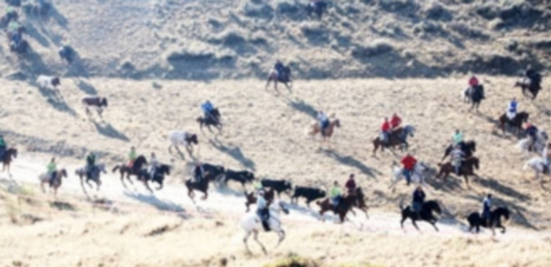 Segunda bajada por El Embudo con toda la manada completa