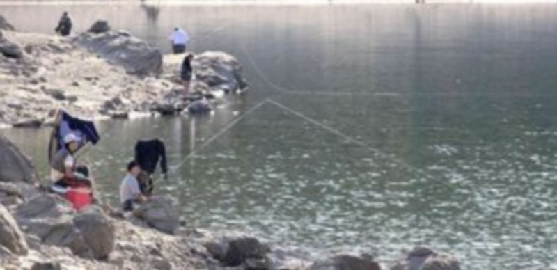 El coto intensivo de Revenga