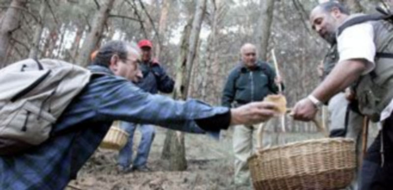 En la provincia de Segovia