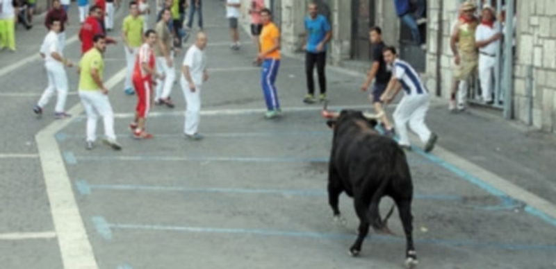 El astado inició el recorrido del encierro urbano más tarde que el resto y se pudo observar bastante sangre en la cornamenta