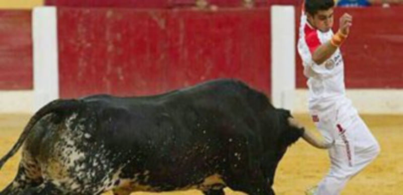 Rafael Sanz ‘El Rafi’