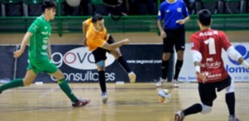 Del dominio a la falta lógica de experiencia 1 Una de las nuevas incorporaciones del Naturpellet Segovia