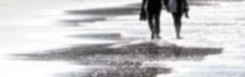 Varios turistas pasean por la playa de la Concha de San Sebastián.  / Efe