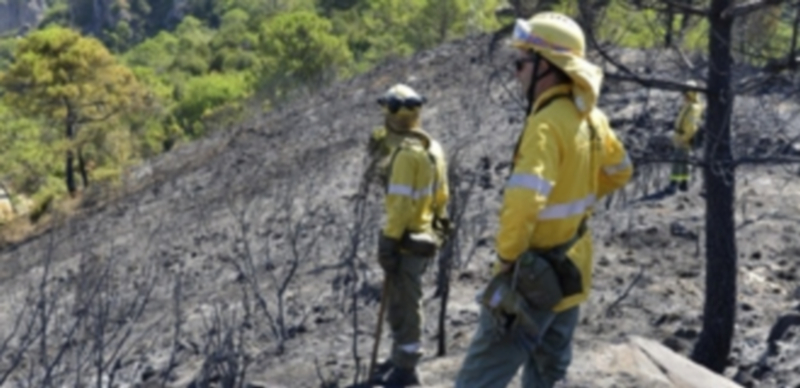 En lo que va de año