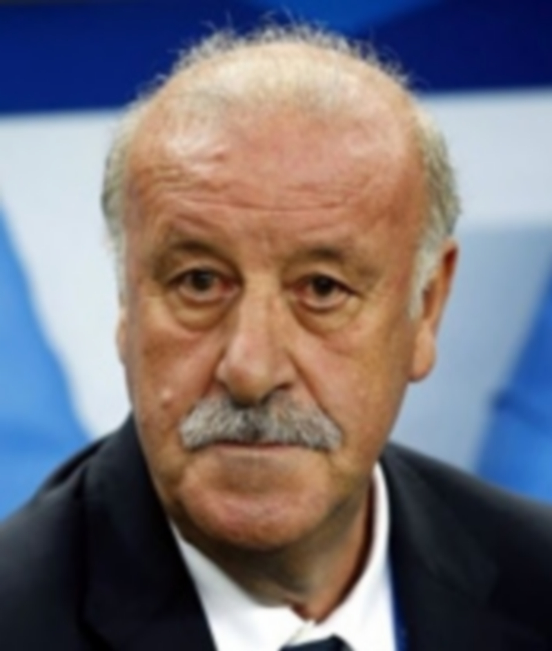 Vicente Del Bosque  tiene ya como objetivo primordial la Eurocopa de 2016. / E.P