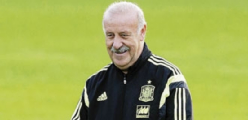 El seleccionador repasó las cualidades de Holanda y Chile. / Juanjo Martín (Efe)