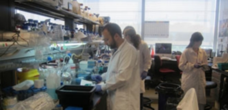 200 científicos asisten al encuentro de investigadores españoles en EEUU 1 Un total de 200 científicos se reuniran en Georgetown en el primer encuentro de investigadores españoles. / Europa Press