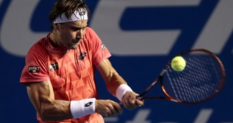 David Ferrer ha iniciado 2015 con una gran confianza en su juego. / EFE