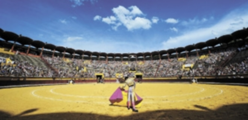 La ley incluye un plan de protección de esta manifestación artística y otro dedicado a la promoción de la cultura de la tauromaquia. / Félix Ordóñez