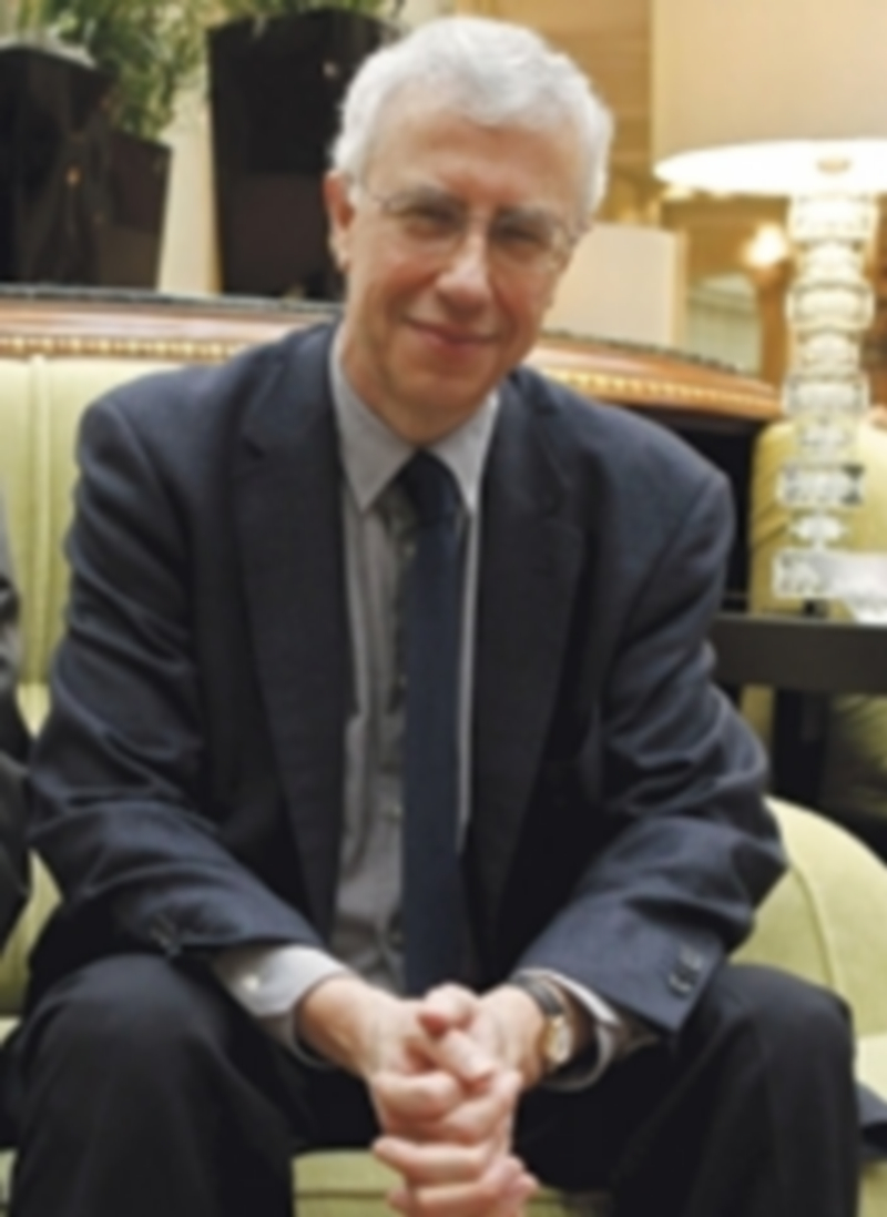 José Manuel Sánchez Ron recibirá el galardón dotado con 20.000 euros. / E.P.