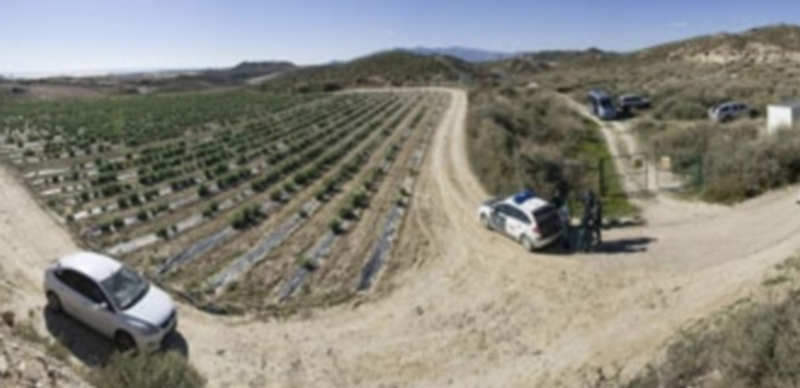 Vista general de una de las zonas valladas dentro de la pedanía de Palomares en Cuevas de Almanzora. / EFE