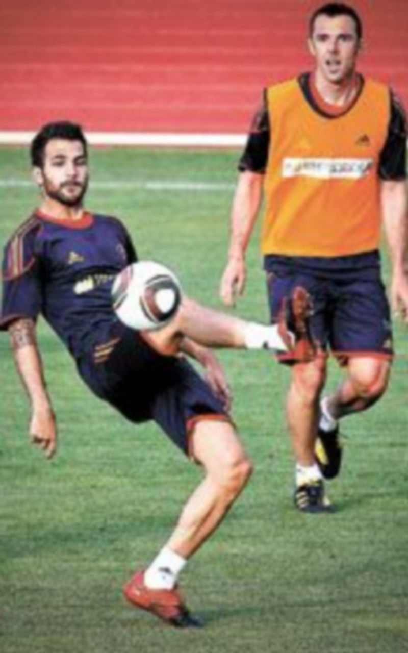 Cesc está concentrado con la selección española. / Efe