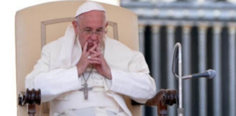 El Papa urge a crear un sistema normativo con “límites infranqueables” para asegurar la protección de los ecosistemas. / EFE