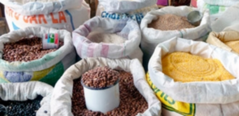 Semillas de microempresas agrícolas de Haití adquiridas gracias al programa de Farmacéuticos Sin Fronteras. / FSFE