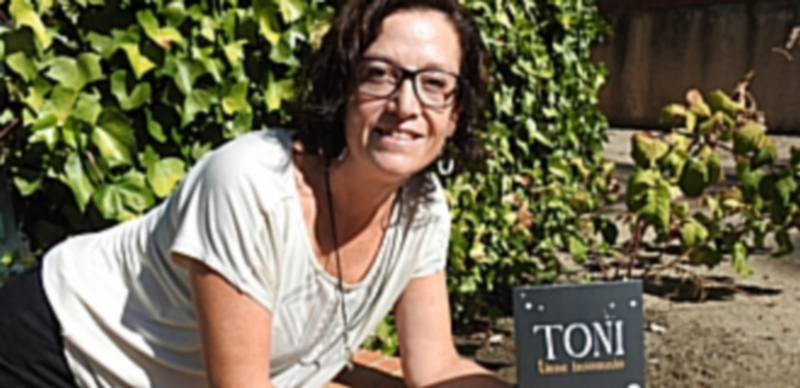 Un cuento para aprender 1 La cuentista María del Pilar Martín San Félix