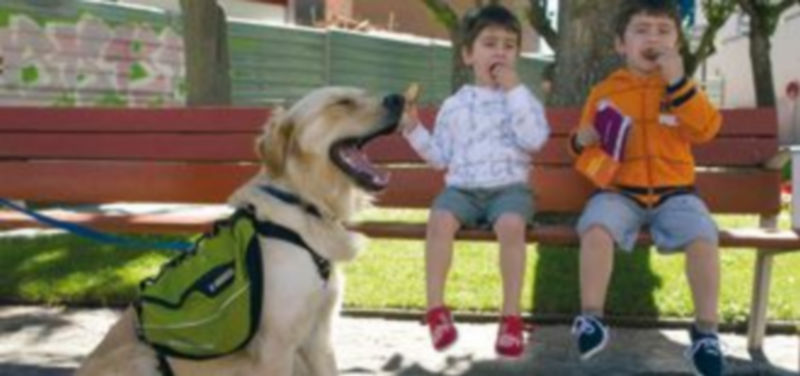 El perro de la asociación Asistencia y Animales de Compañía (PAAT) lleva sólo unos días como compañero de Pablo y Raúl. / EFE