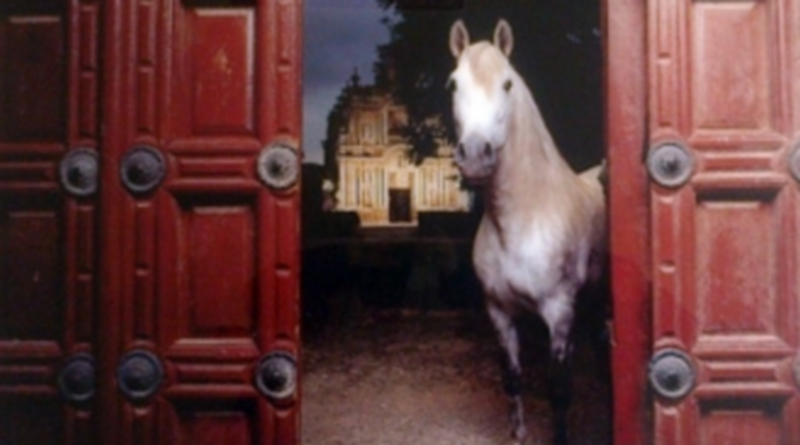 Imagen de tres de las instantáneas expuestas en La Faisanera Club de Golf y su autor